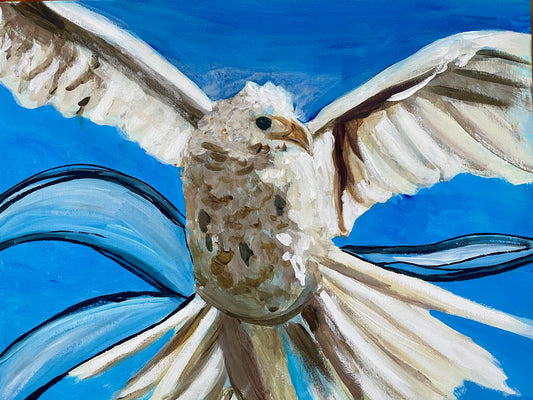 White Bird