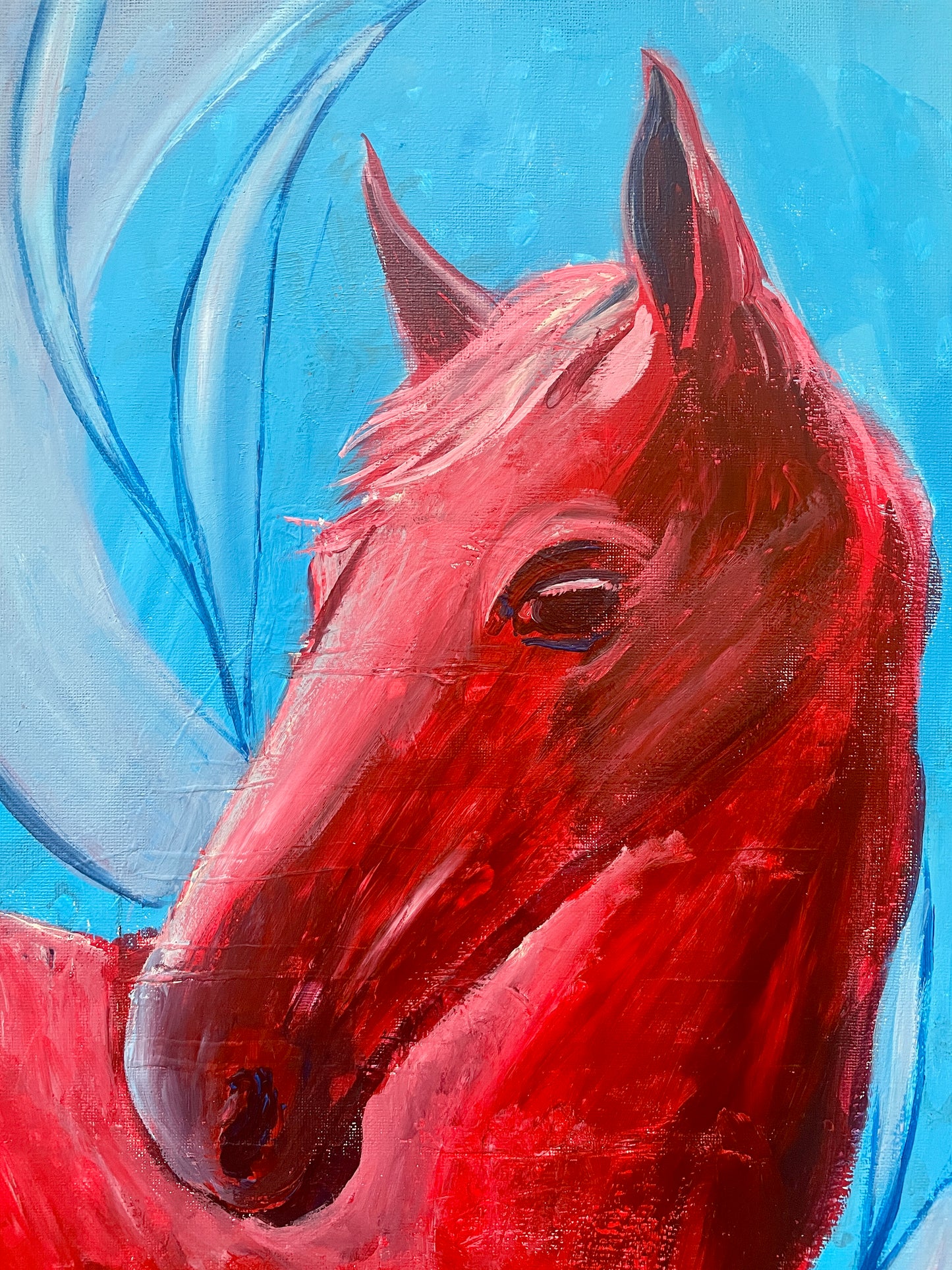The look of a horse